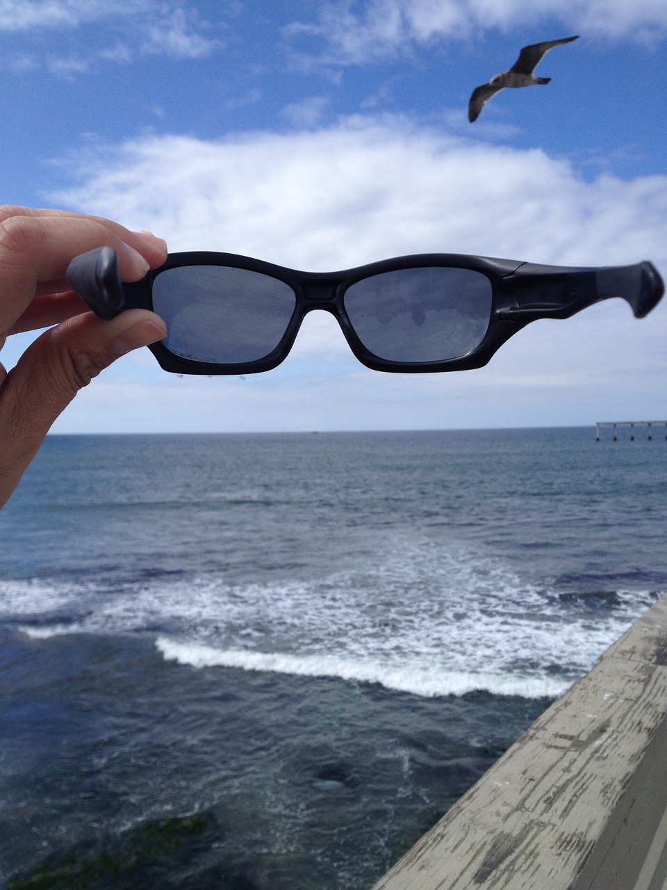 sunglasses ocean sea free photo