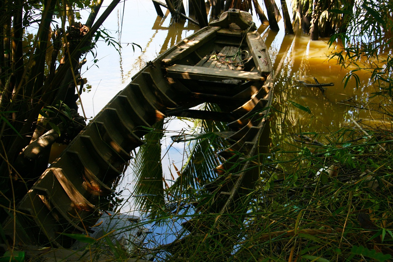 sunken boat jungle abandoned free photo