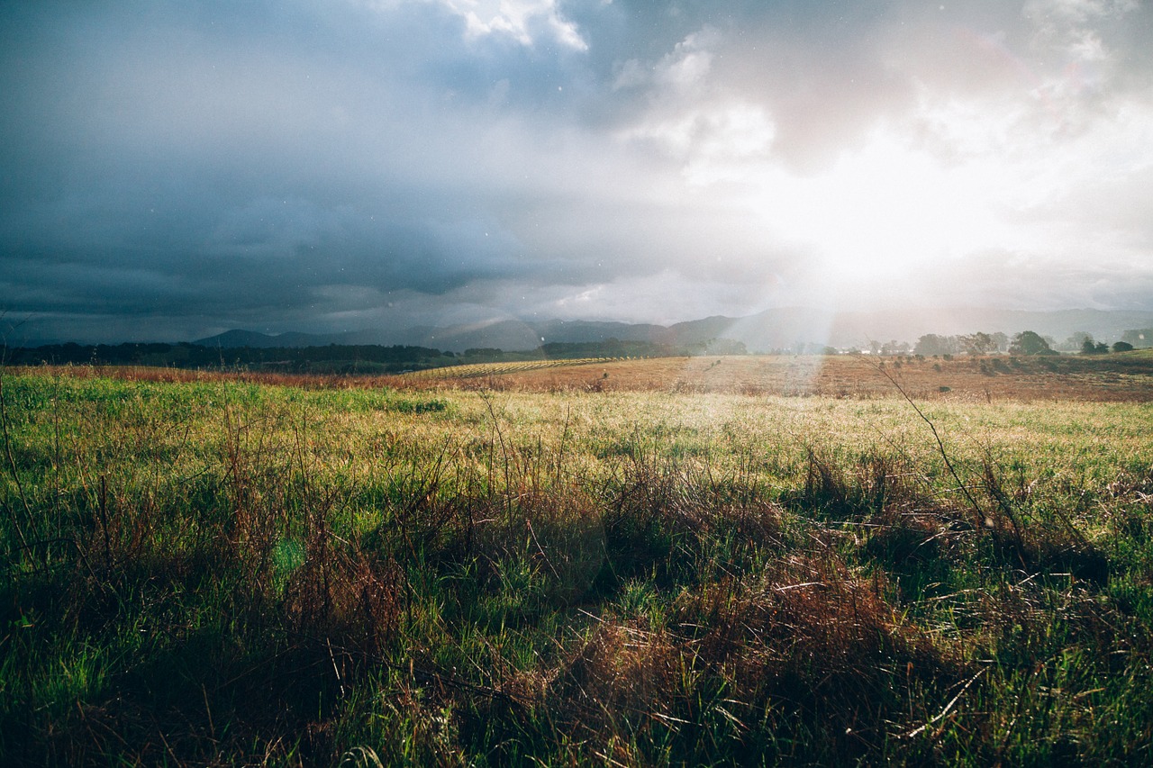 sunlight ray grass field free photo