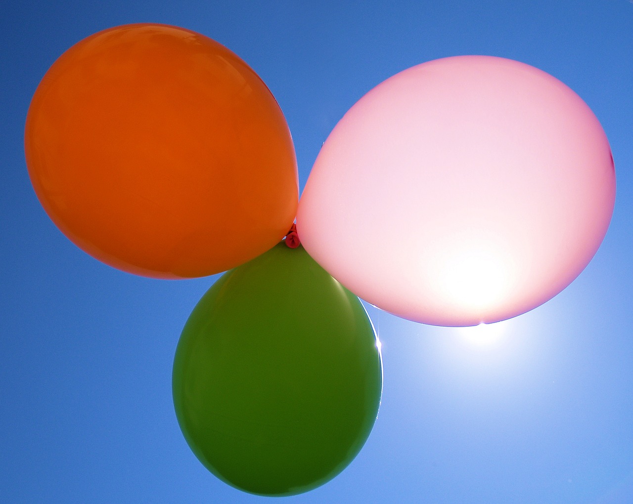 sunlight balloon summer free photo