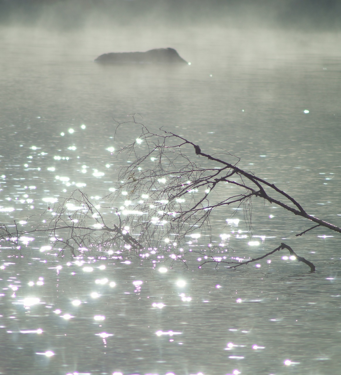 sunlight reflection w free photo