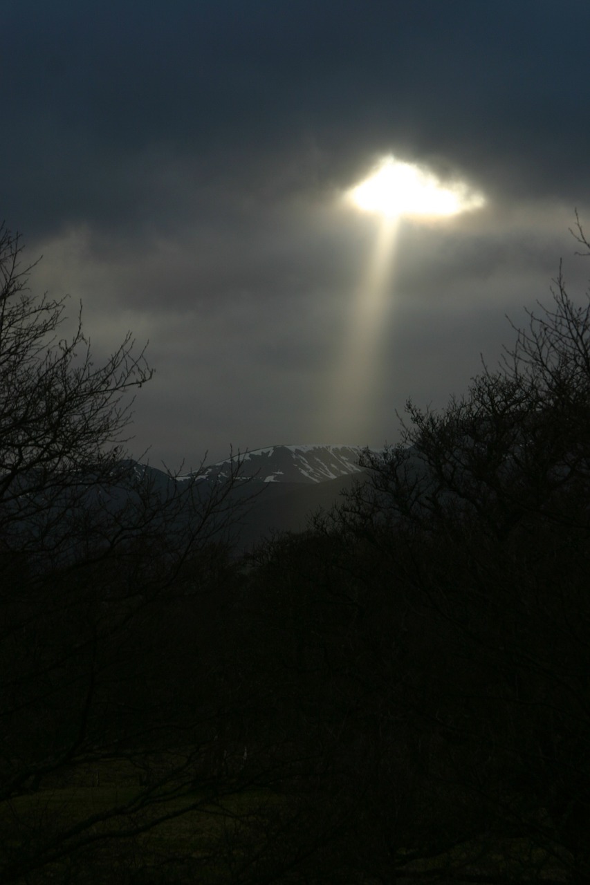 sunlight darkness silhouettes free photo