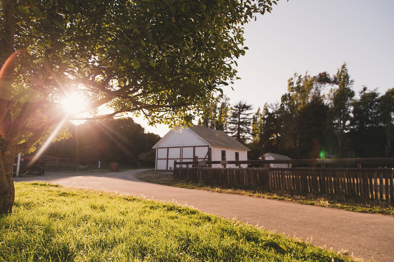 sunlight sunshine sunset free photo