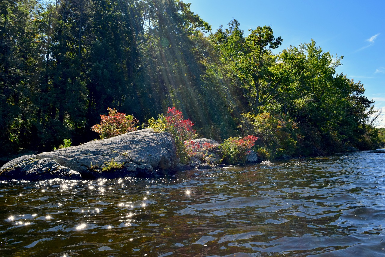 sunlight lake water free photo