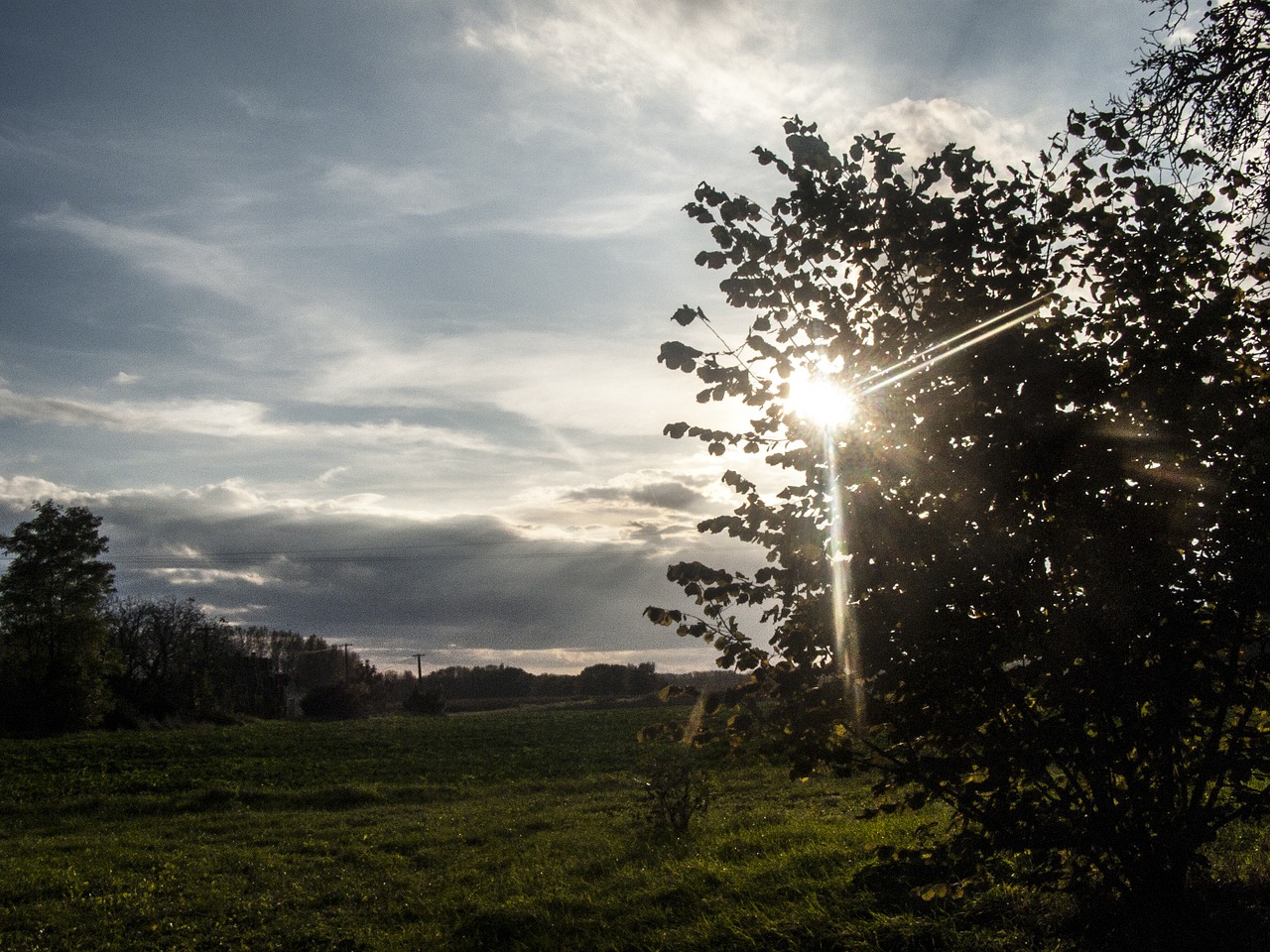 sunlight field meadow free photo