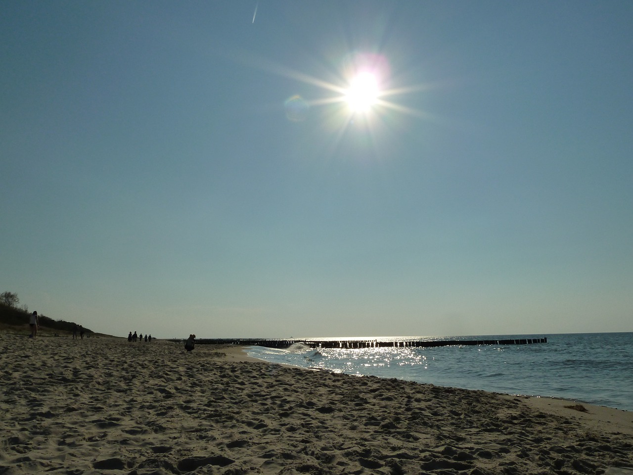 sunlight sea beach free photo