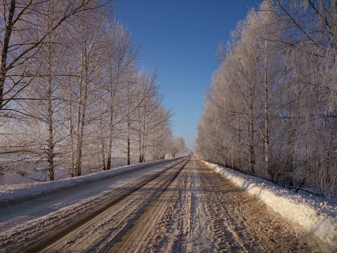 sunny road winter free photo