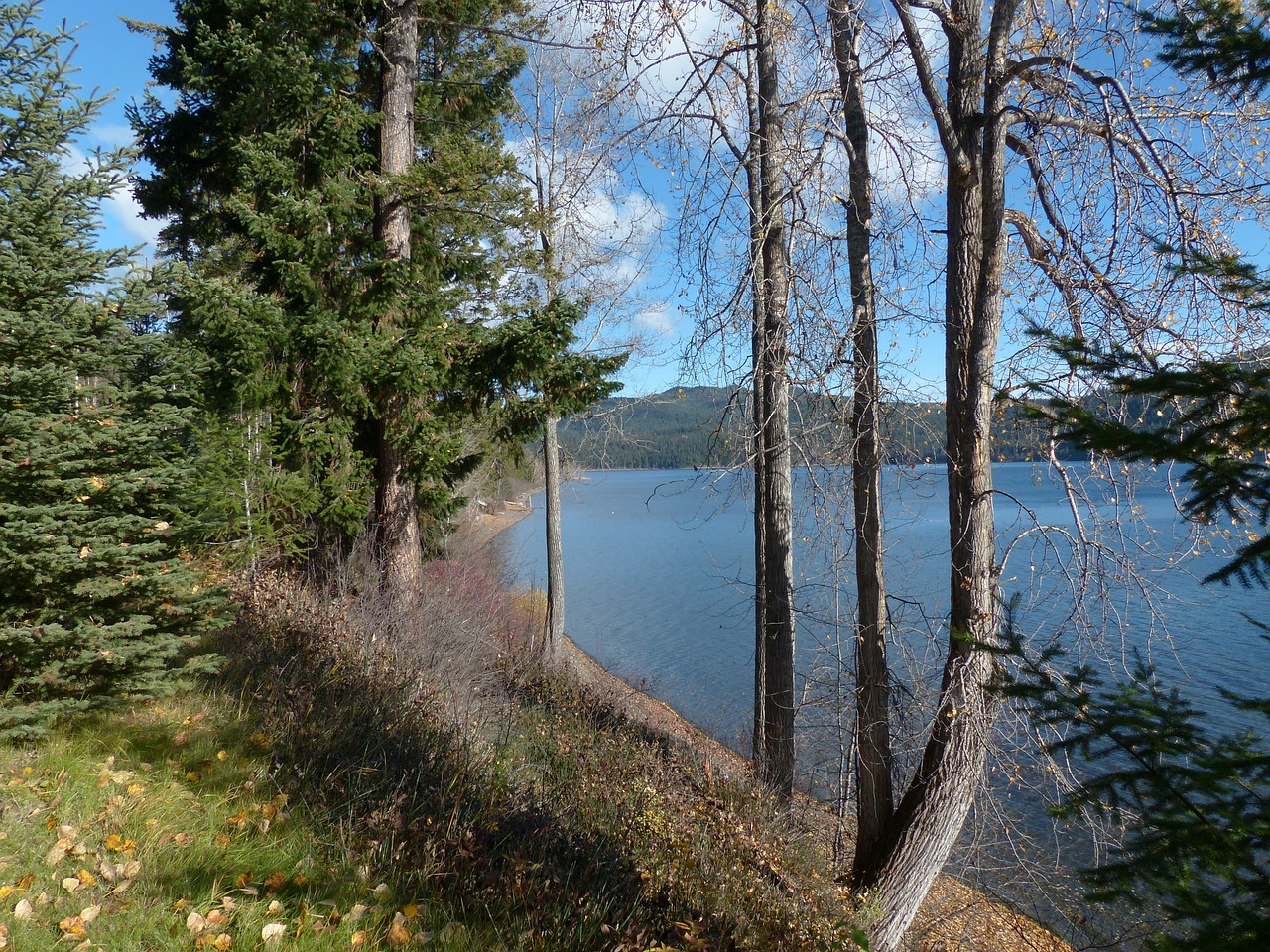 sunny day autumn free photo