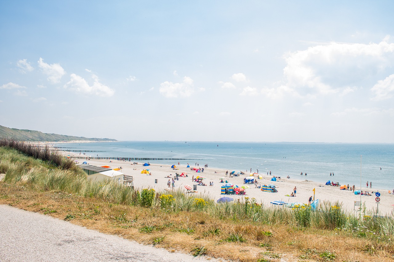 sunny beach  netherlands  sand free photo