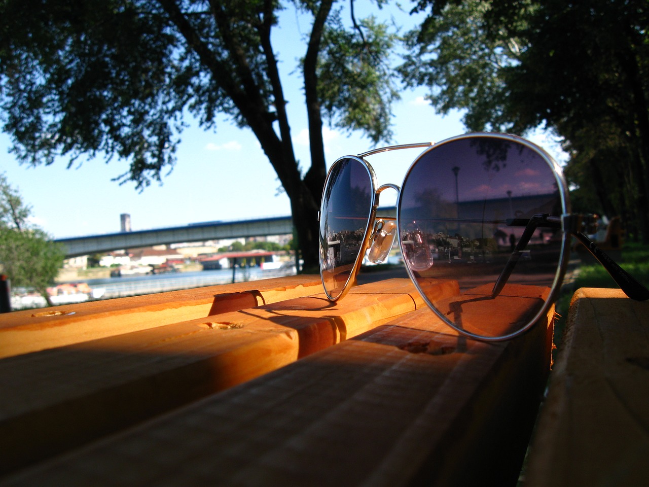 sunny day sun glasses bench free photo
