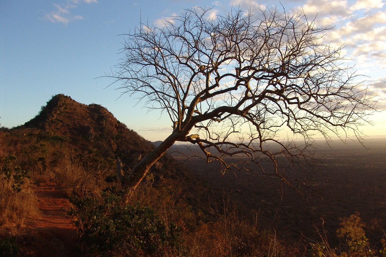 sunrise kenya africa free photo