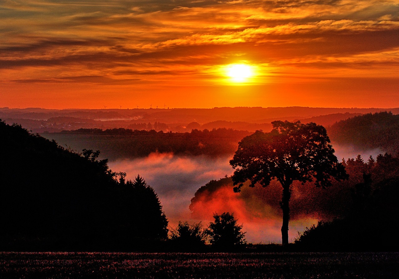 sunrise fog nature free photo