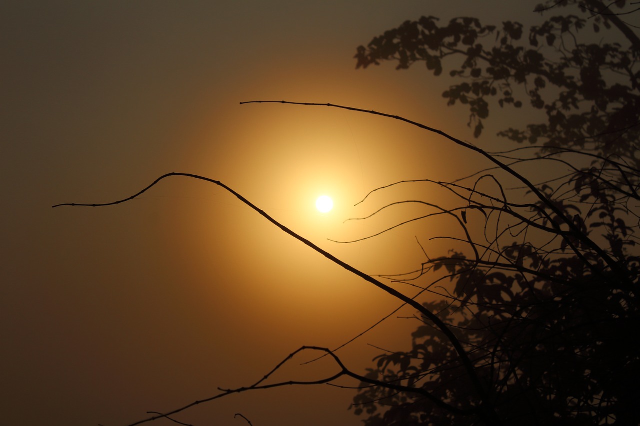 sunrise silhouette sky free photo