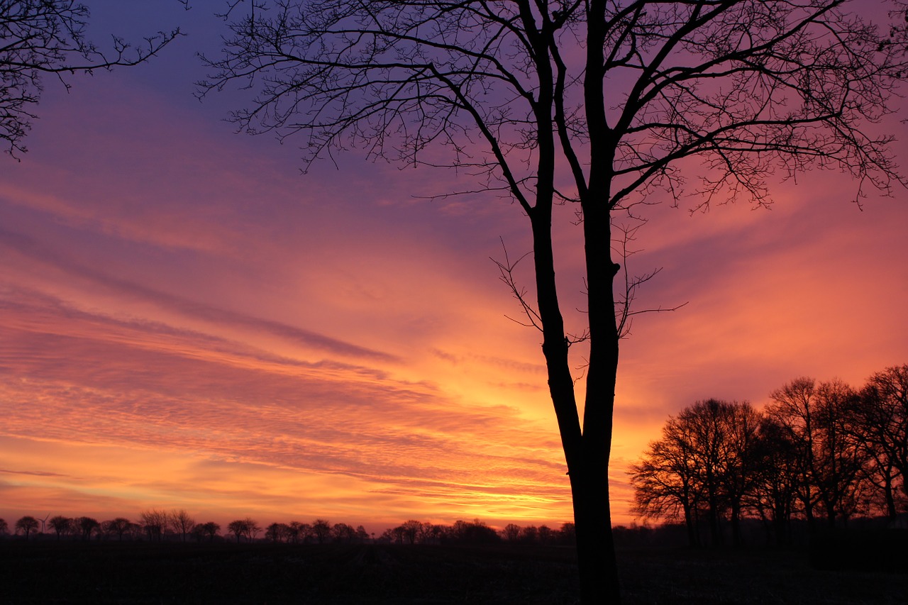 sunrise winter skies free photo