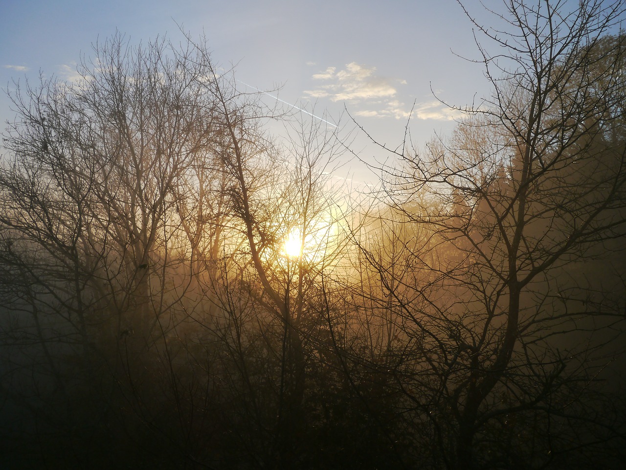 sunrise fog autumn free photo