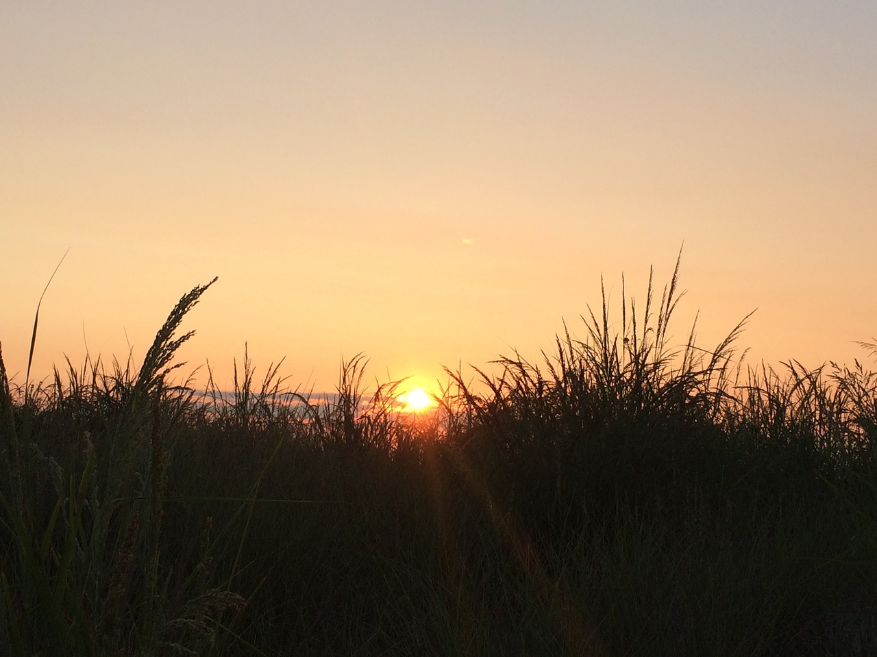 sunrise beach sand dunes free photo