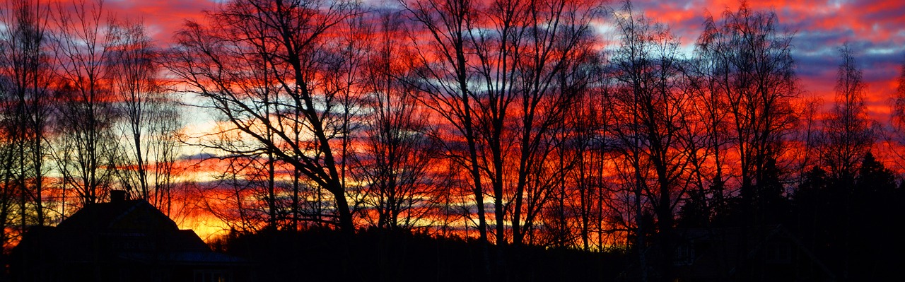 sunrise january västerås free photo