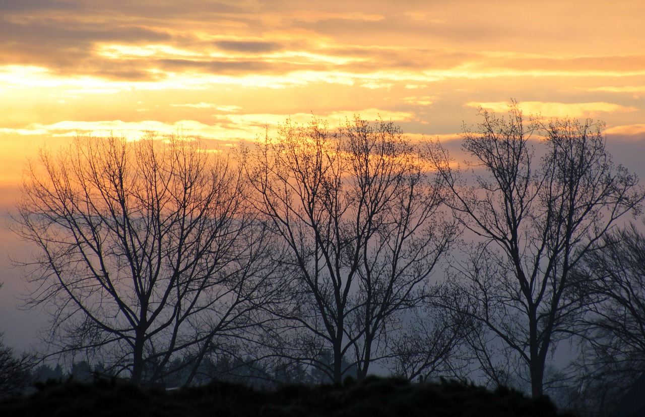 sunrise morning morgenstimmung free photo