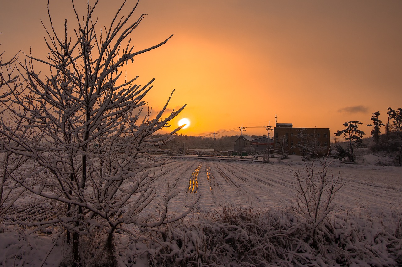 sunrise sun snow free photo