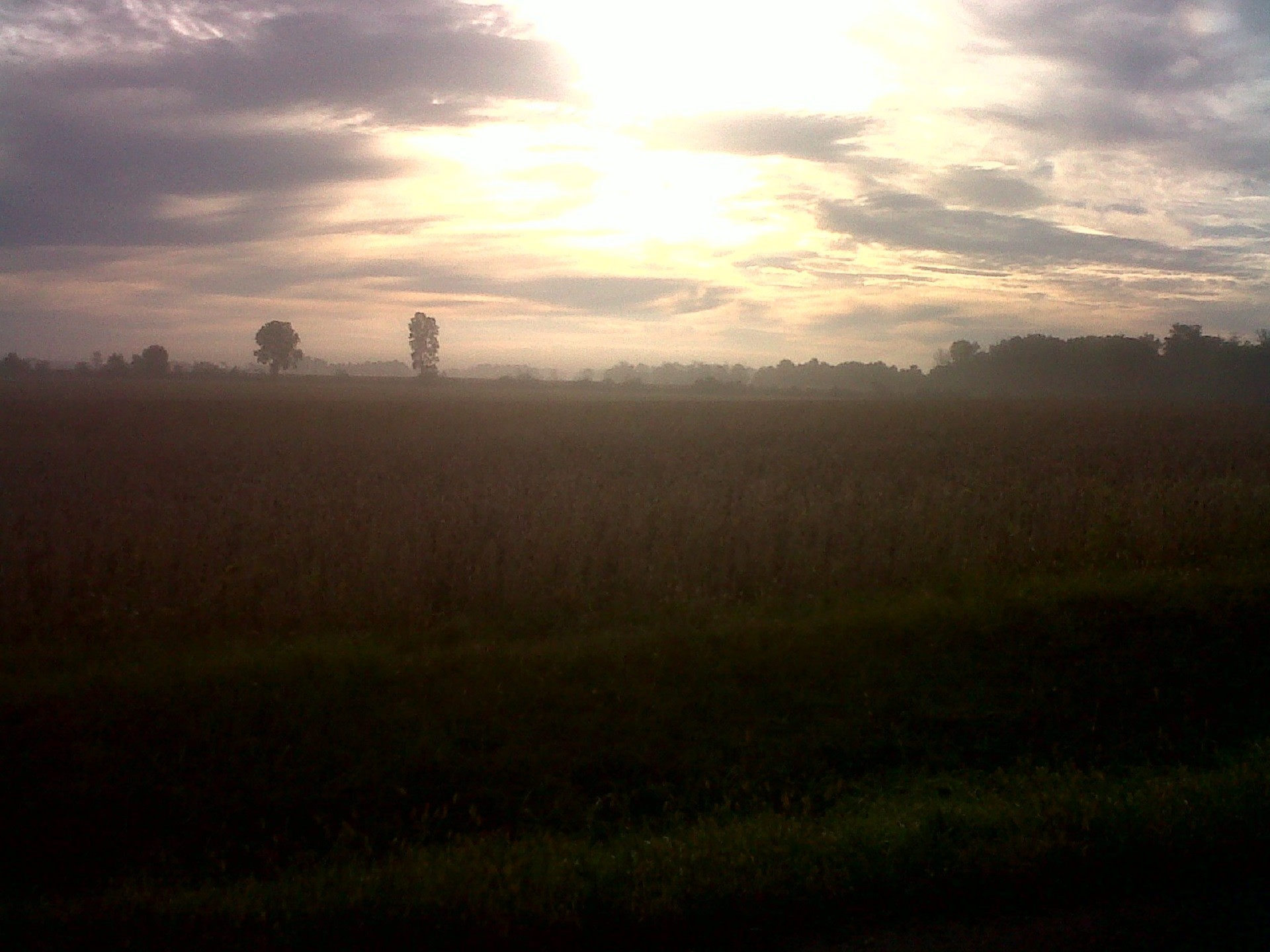 sunrise field sunrise free photo