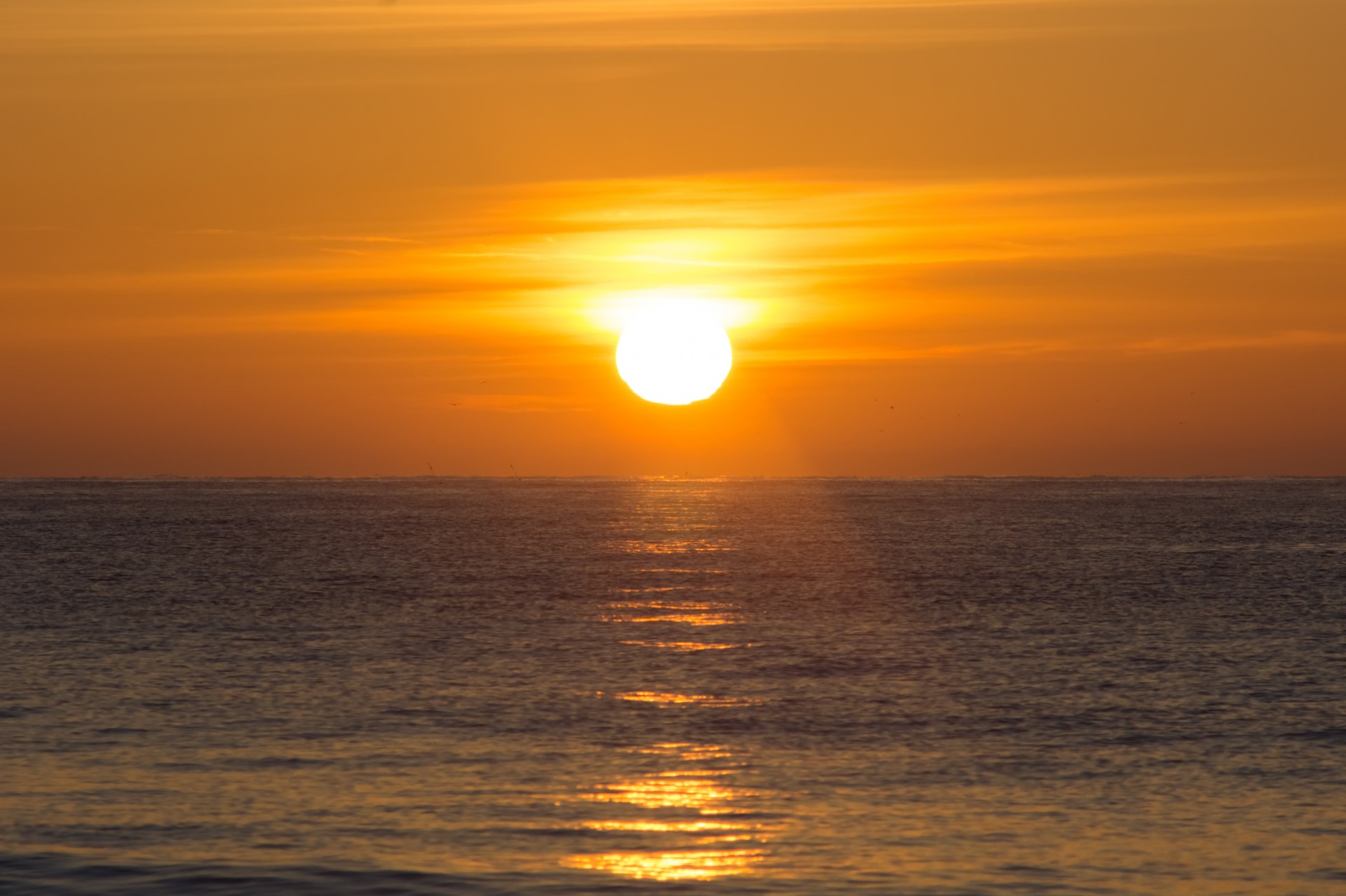 beautiful sunrise over ocean sea seas free photo