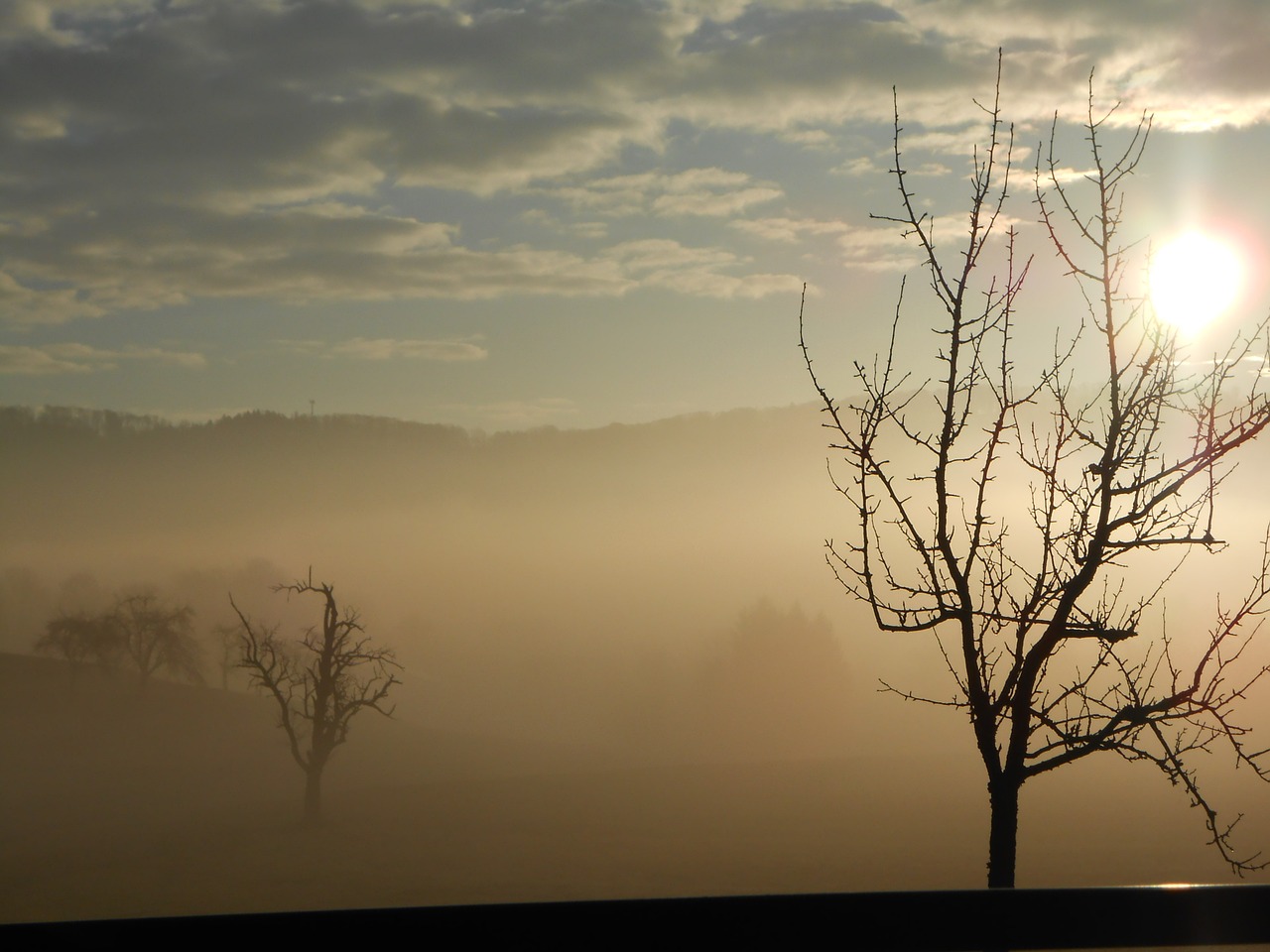 sunrise fog morning sun free photo