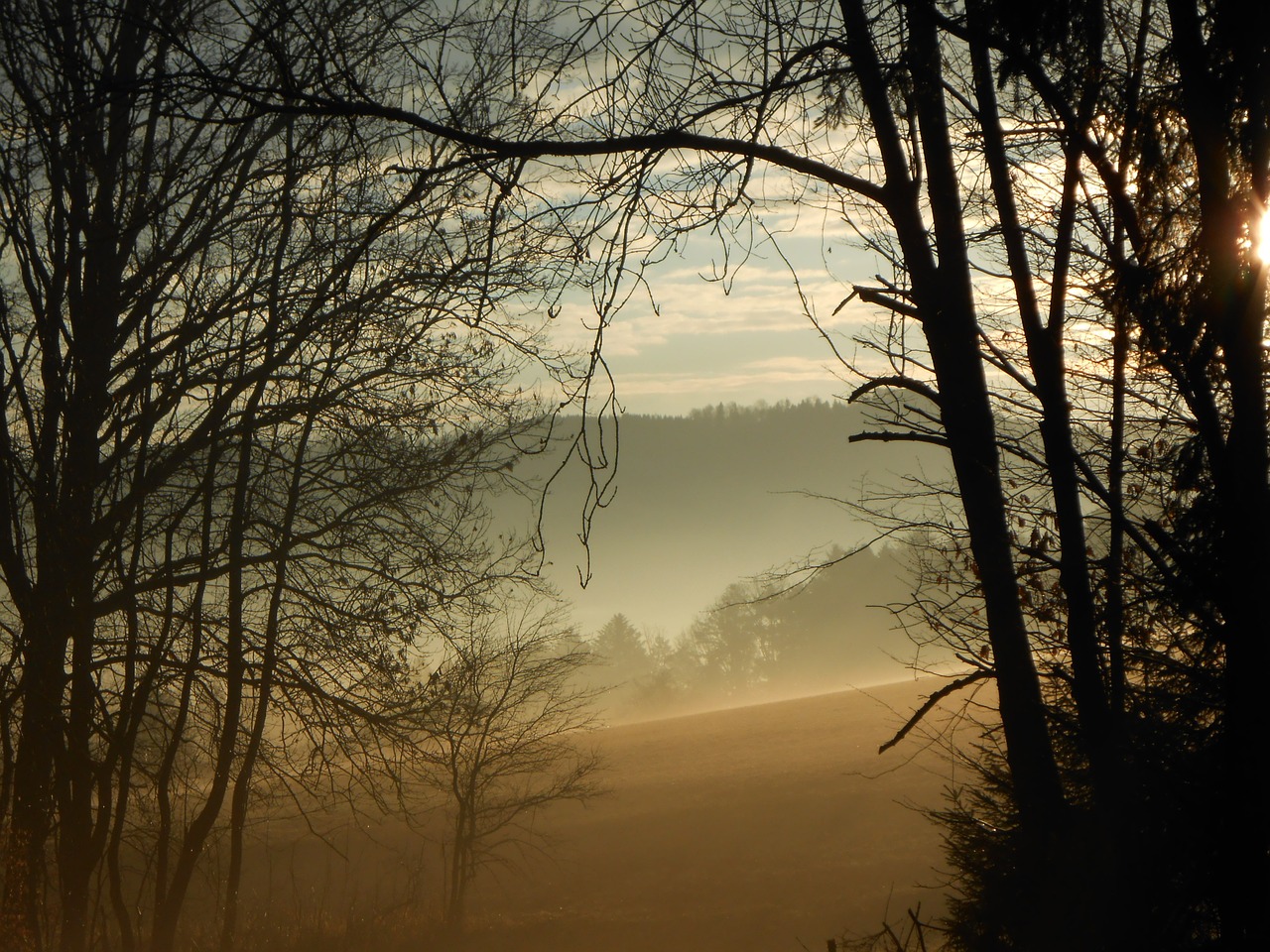 sunrise fog morning sun free photo