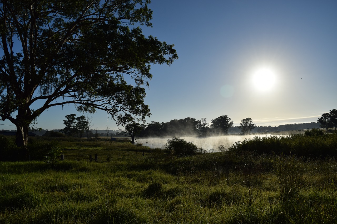 sunrise country sydney free photo