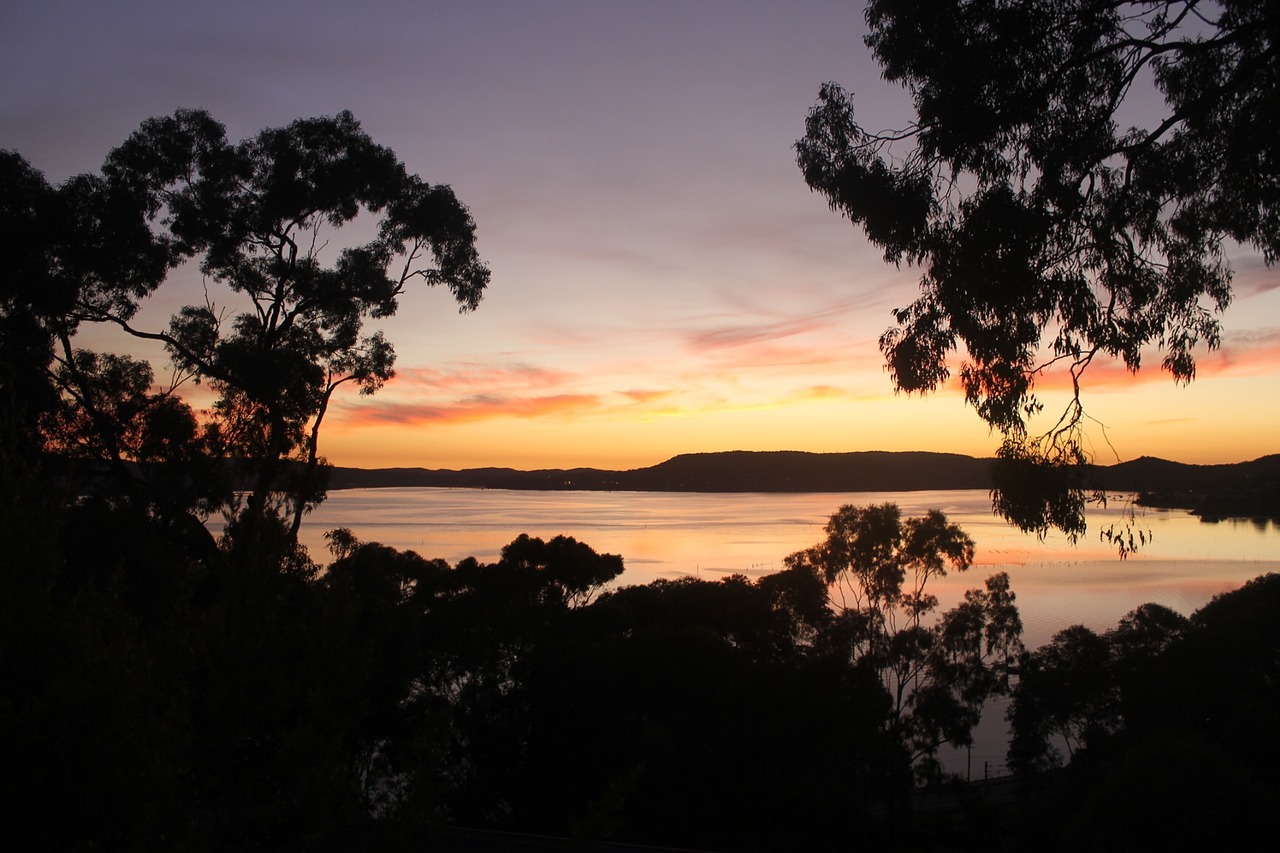 sunrise water trees free photo