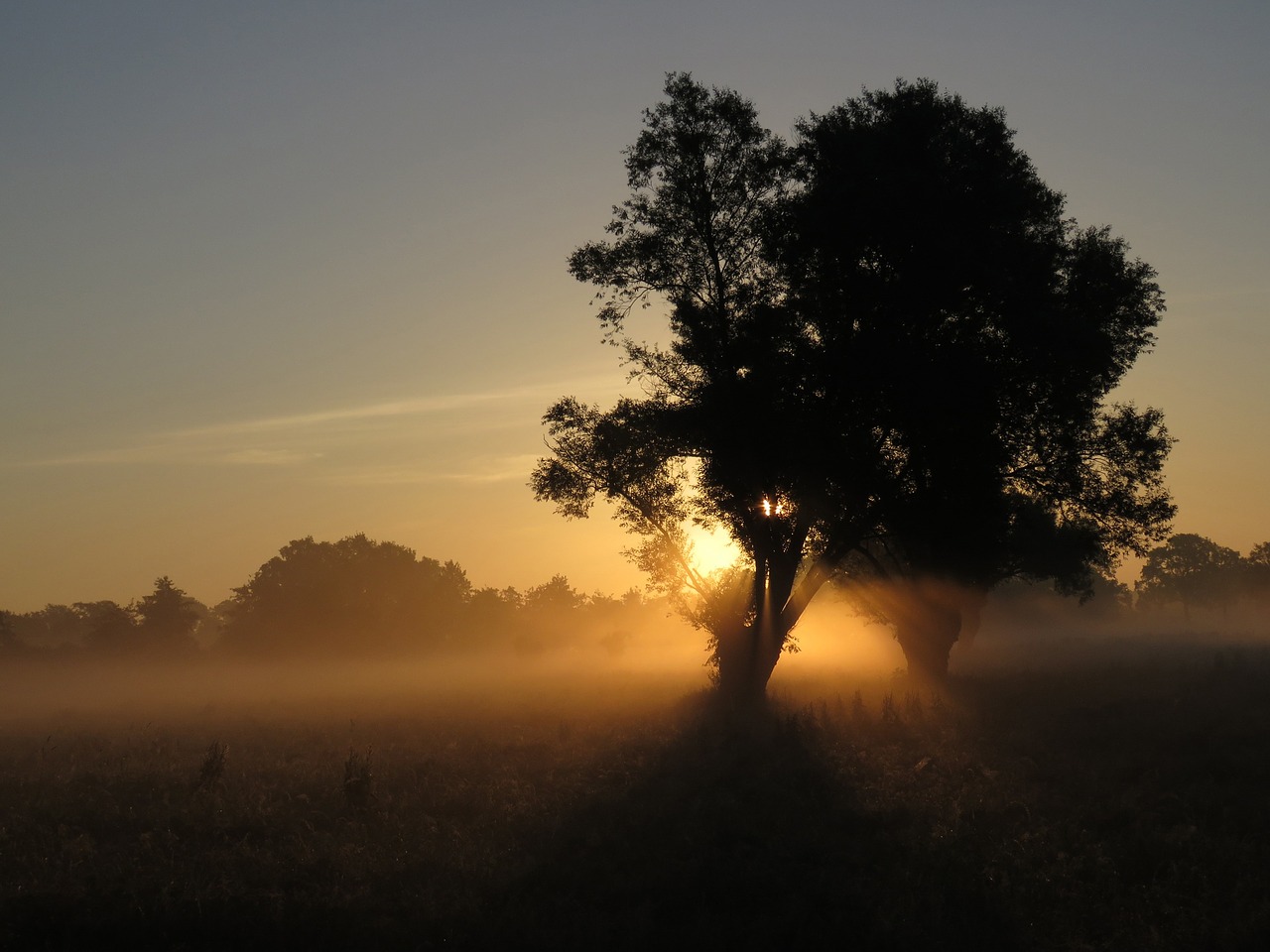 sunrise nature start of the day free photo