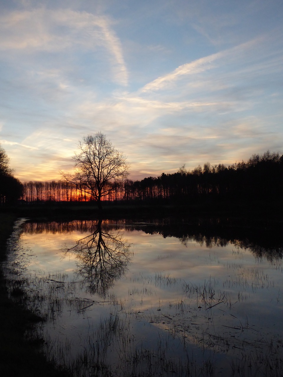 sunrise zelhem plas free photo