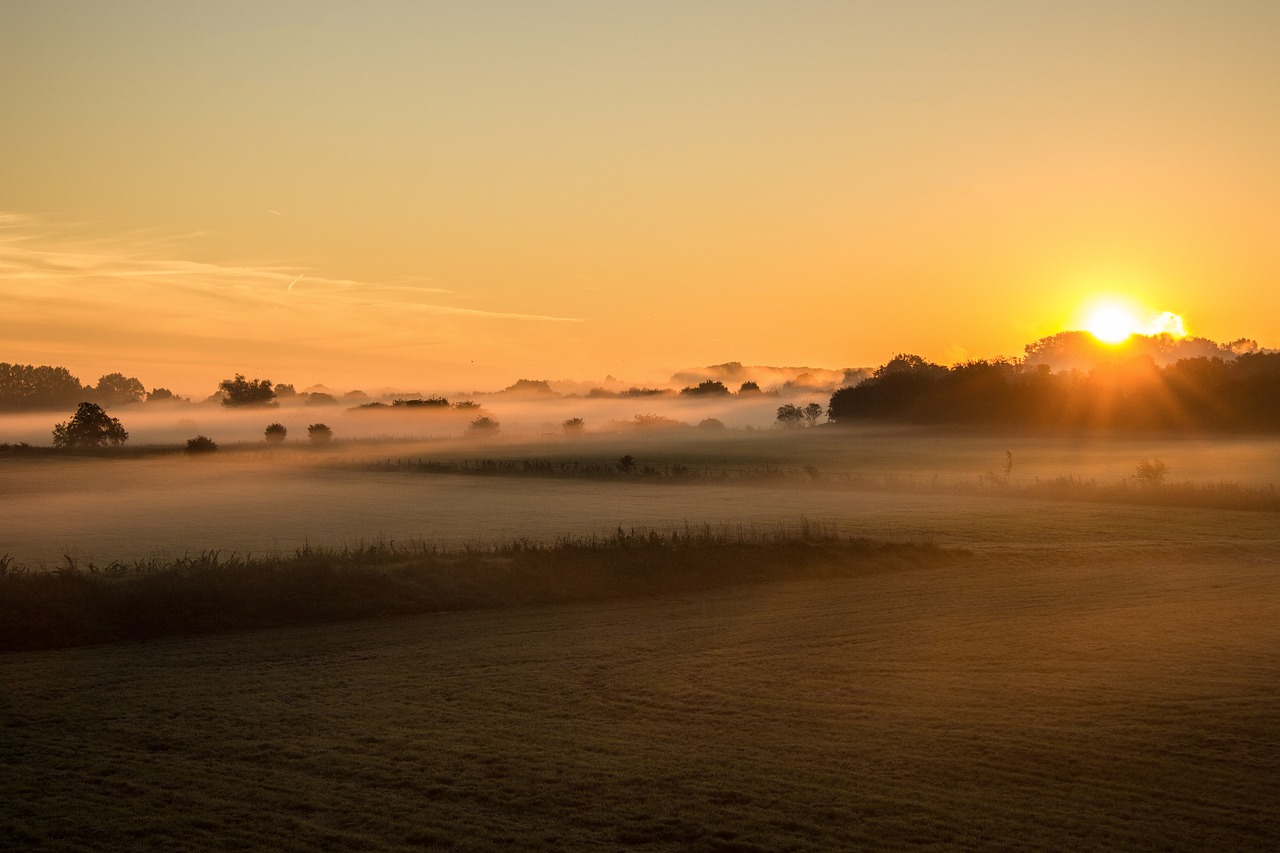 sunrise fog fields free photo