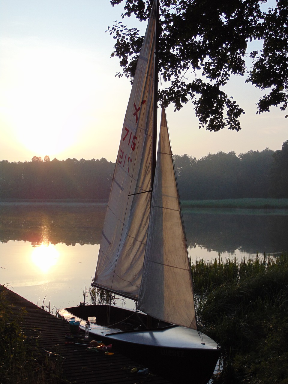 sunrise lake sailboat free photo