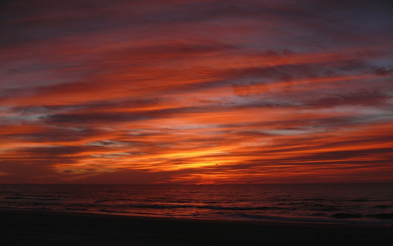 sunrise seascape beach free photo