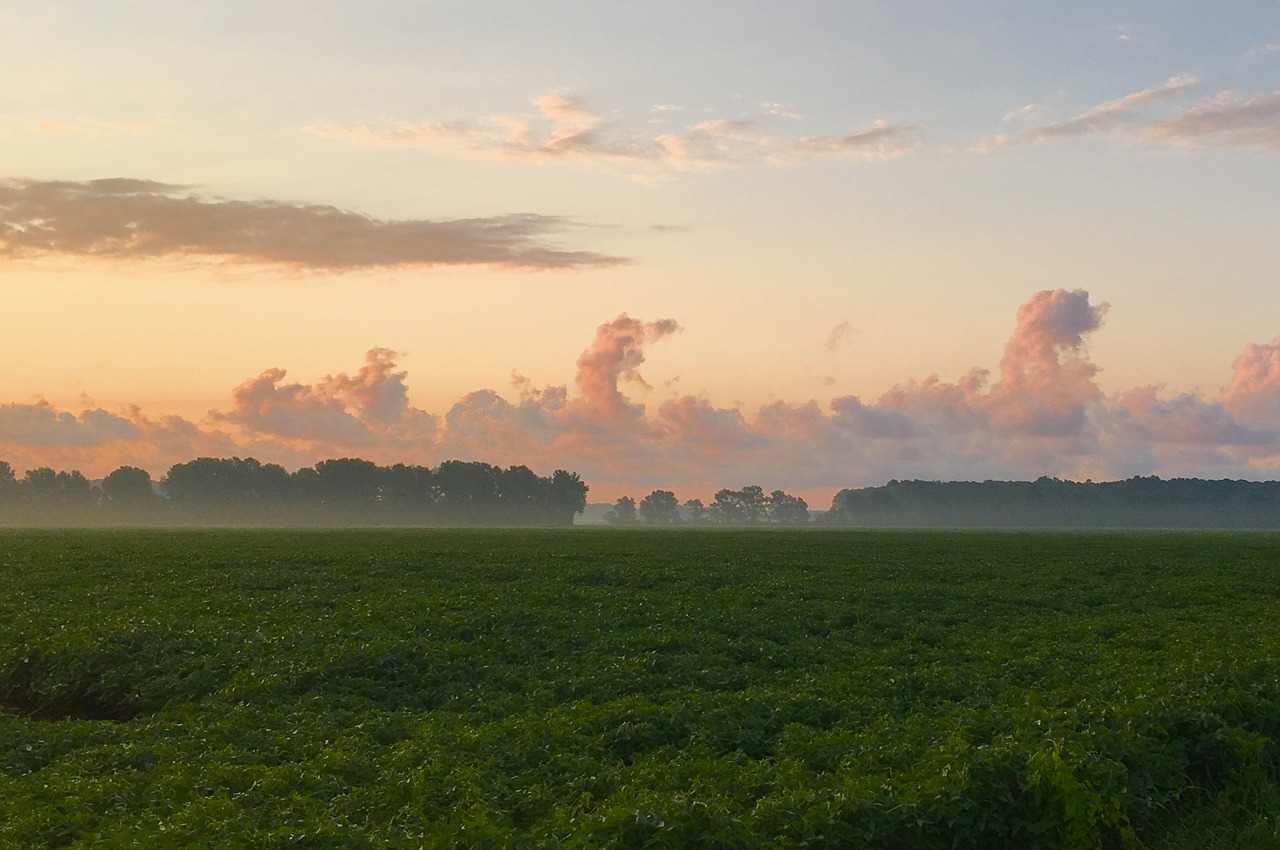 sunrise farm clouds free photo