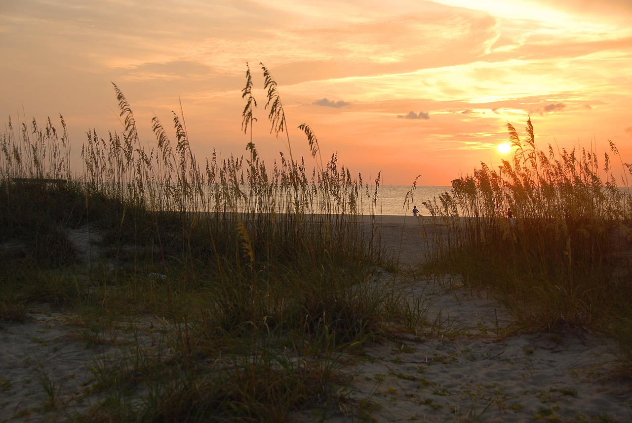 sunrise tybee island georgia free photo