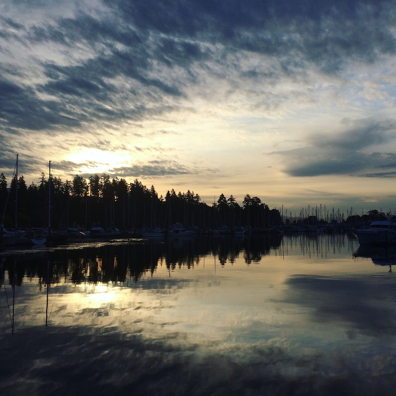 sunrise park vancouver free photo