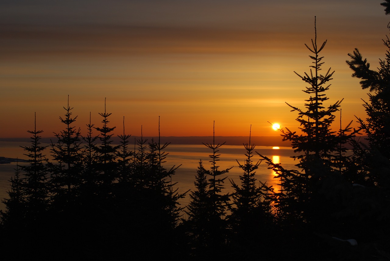 sunrise st lawrence river boreal forest free photo
