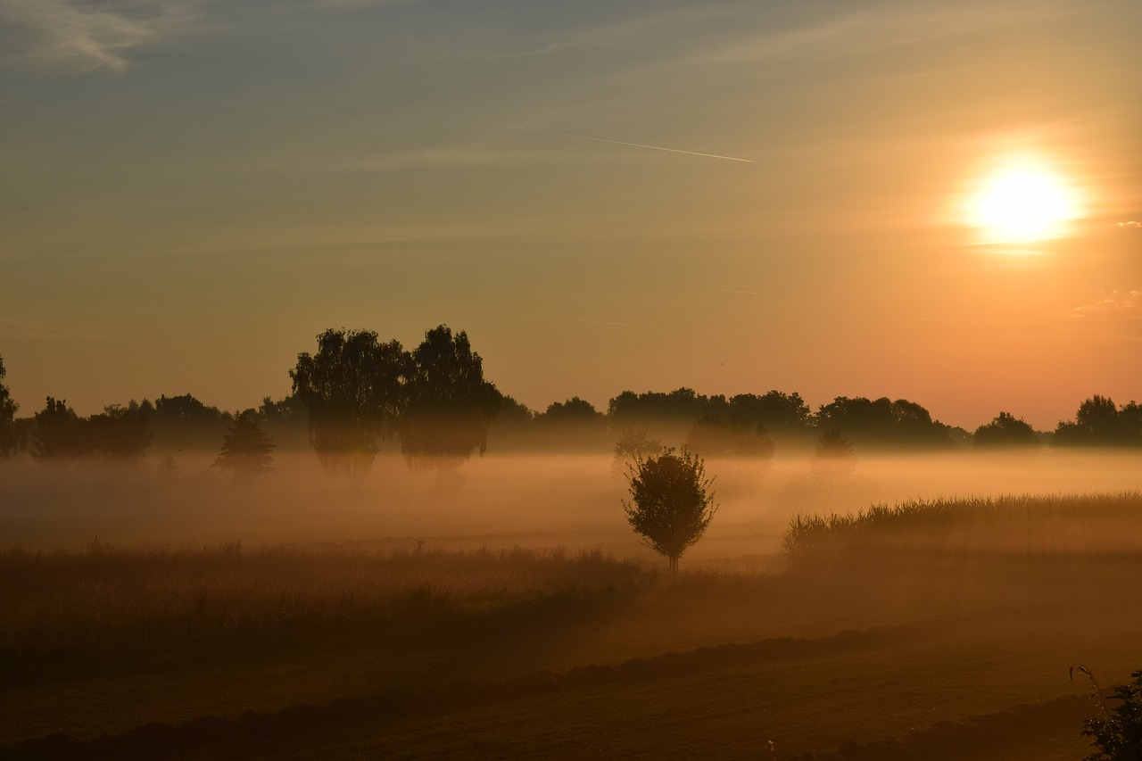 sunrise morning mist haze free photo