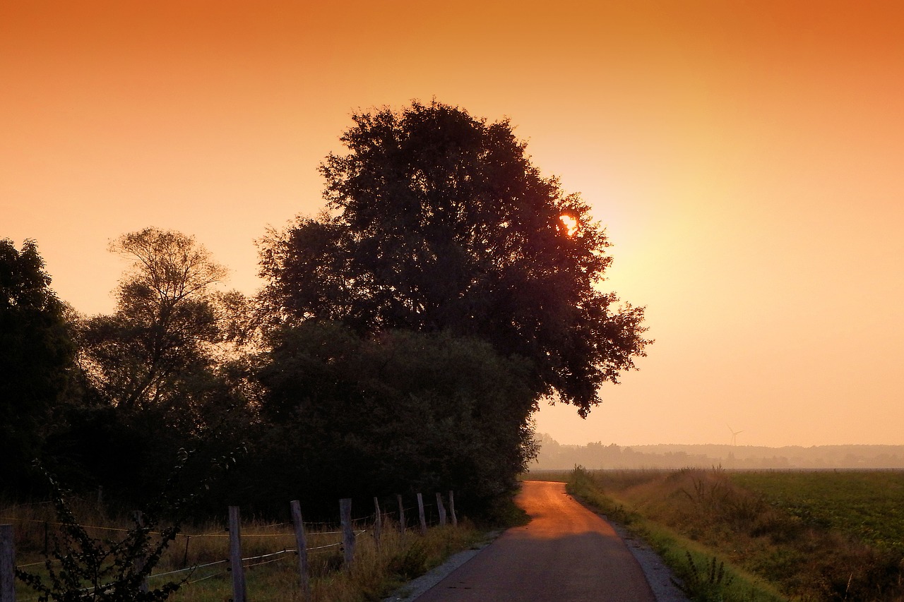 sunrise haze fog free photo