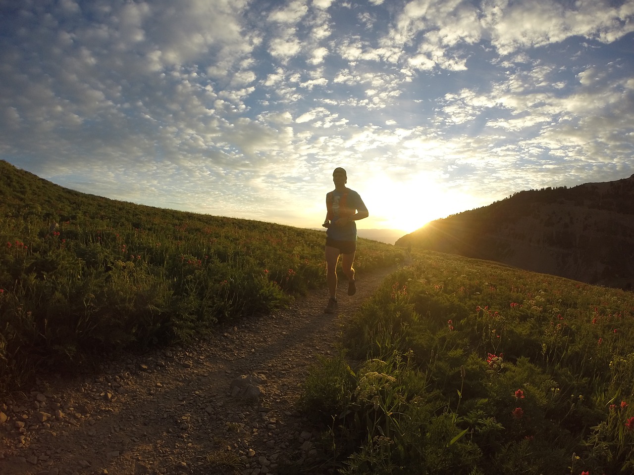 sunrise running runner free photo