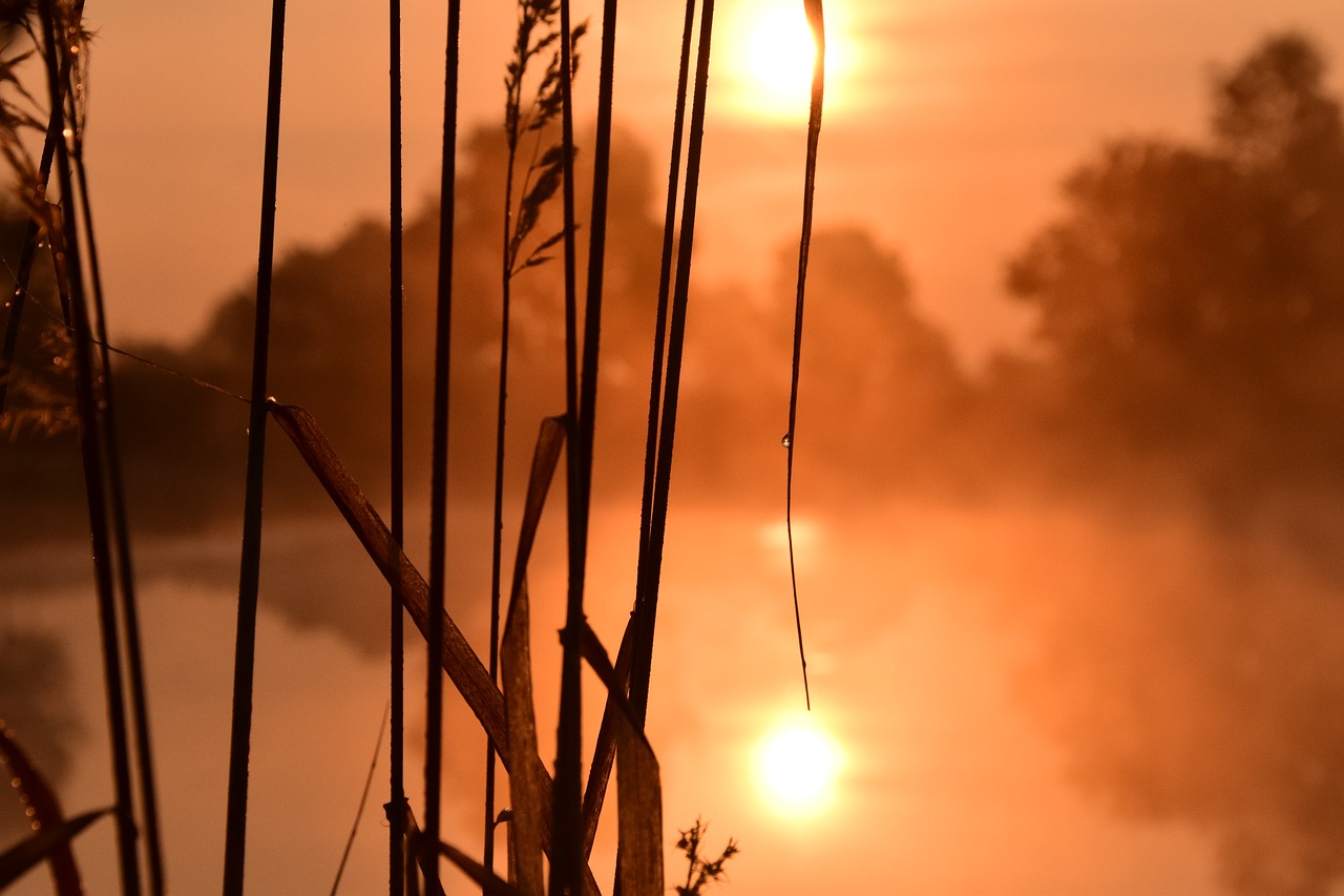 sunrise morgenrot skies free photo