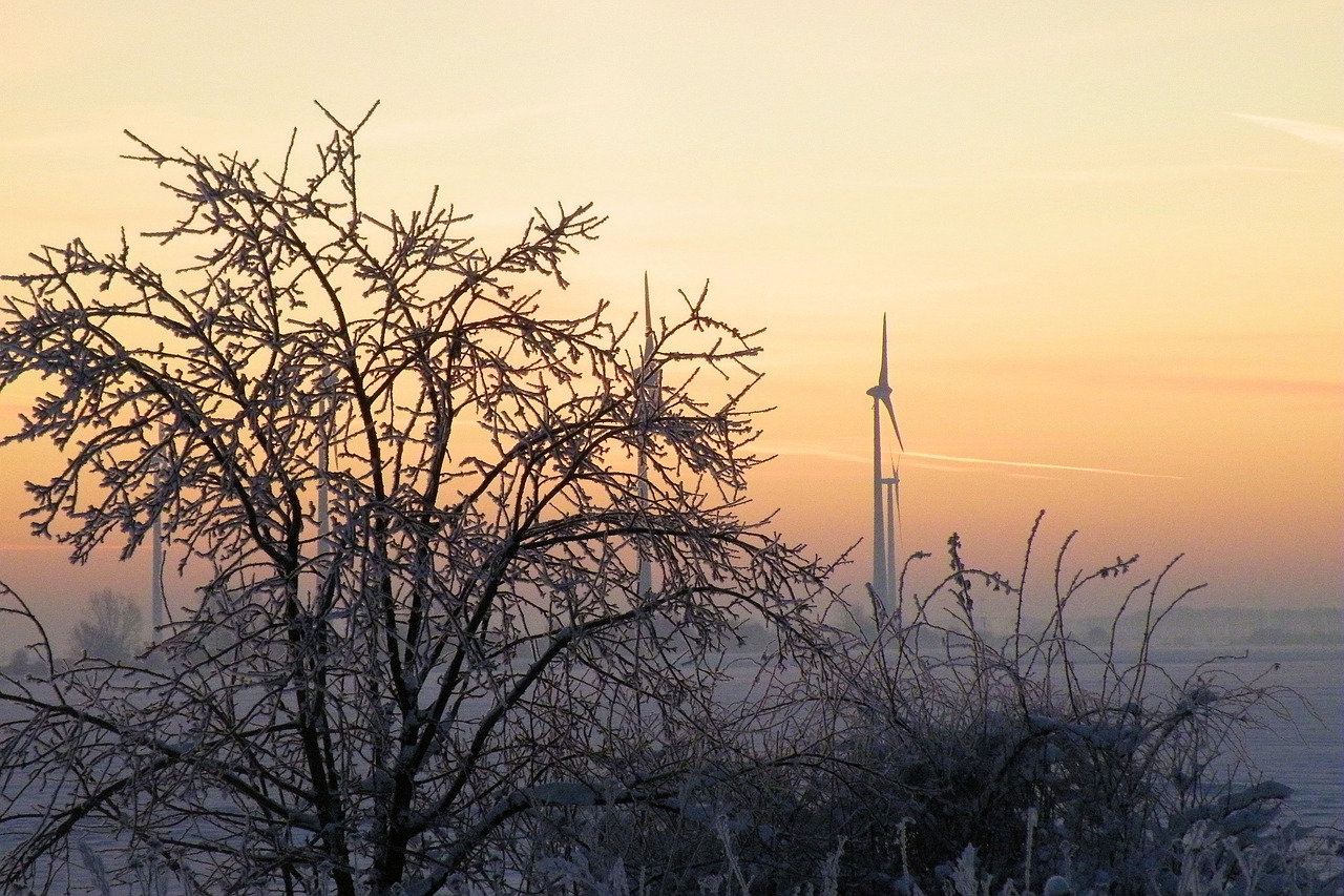 sunrise winter impressions wintry free photo