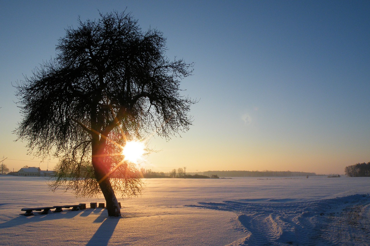 sunrise winter impressions wintry free photo