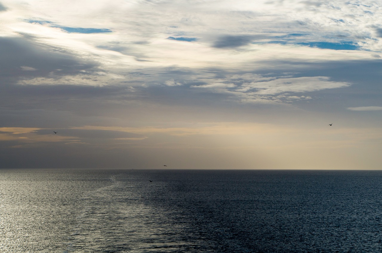 sunrise tynemouth sea free photo