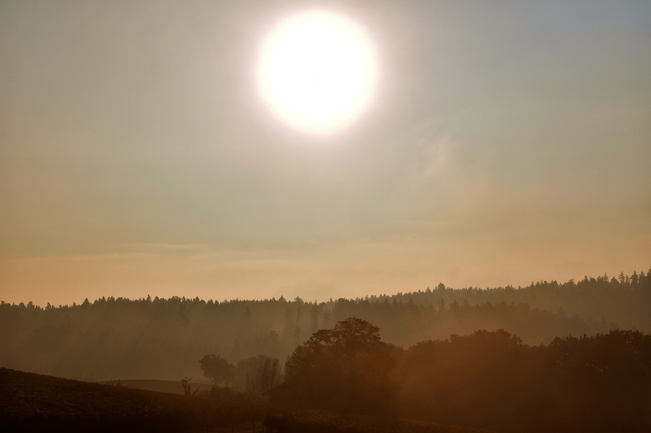 sunrise mood morgenstimmung free photo