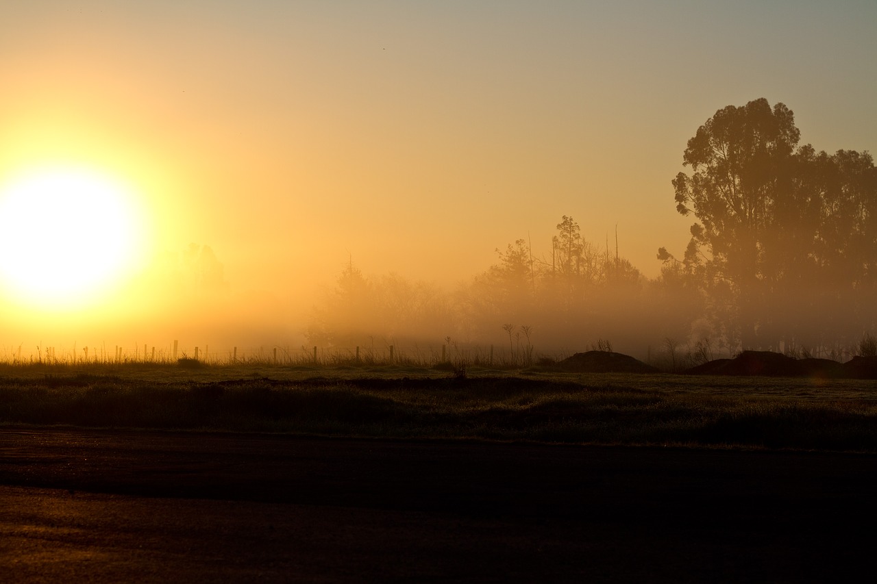 sunrise morning sun free photo