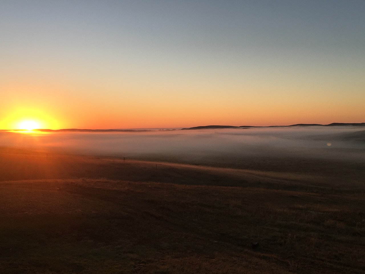 sunrise nature morning fog free photo