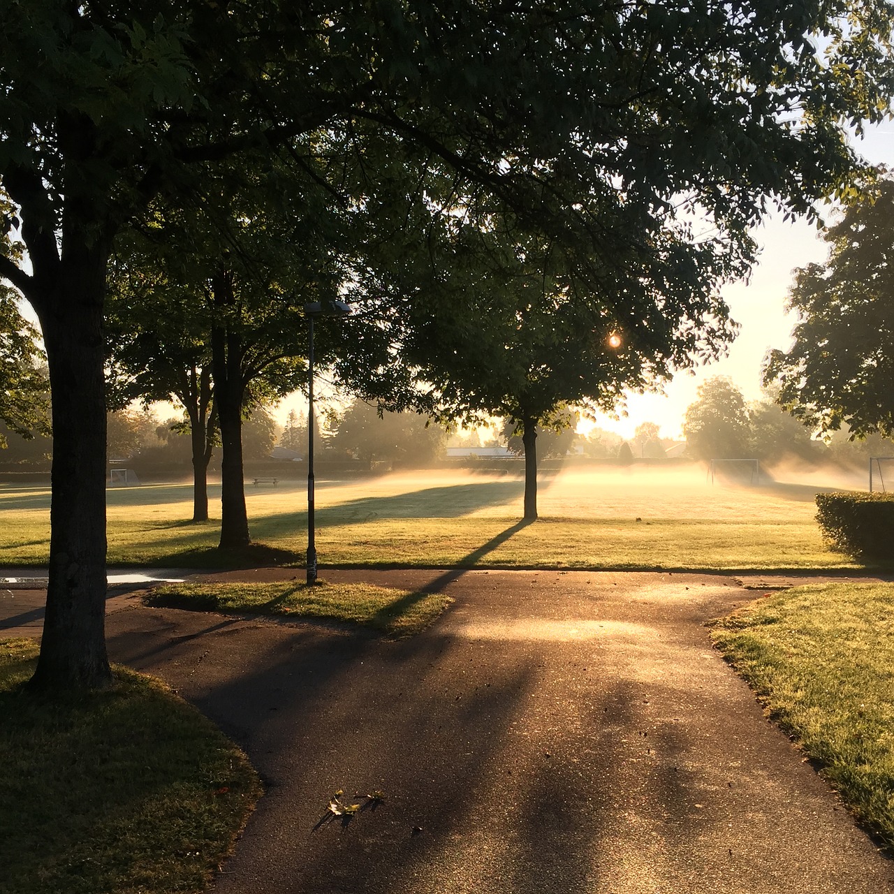 sunrise natural denmark free photo