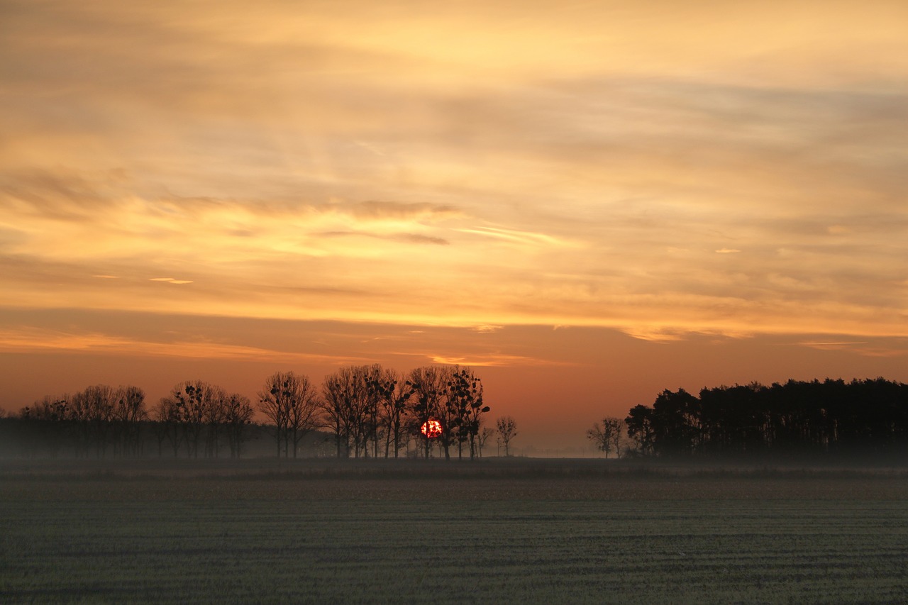 sunrise the sun orange free photo